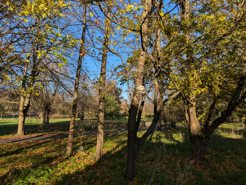 Spinney Hill Park Leicester.jpg