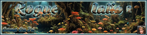 Shrooms Banner.jpg