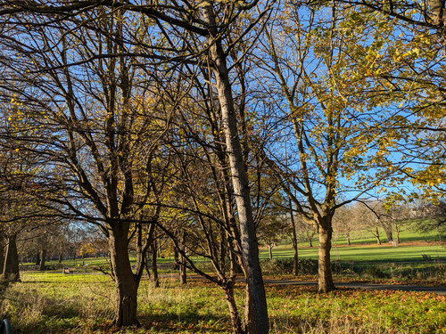 Spinney Hill Park Leicester.jpg