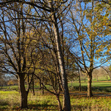 Spinney Hill Park Leicester