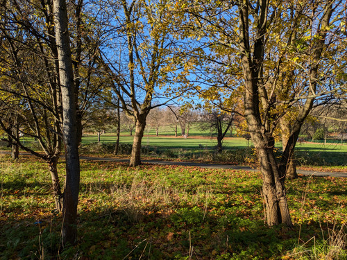 Spinney Hill Park Leicester.jpg