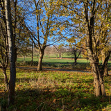 Spinney Hill Park Leicester