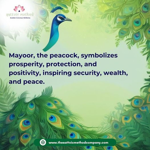 Mayoor Healing Book.jpg