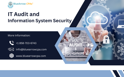 IT Audit and Information System Security.png