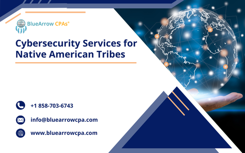 Cybersecurity Services for Native American Tribes.png