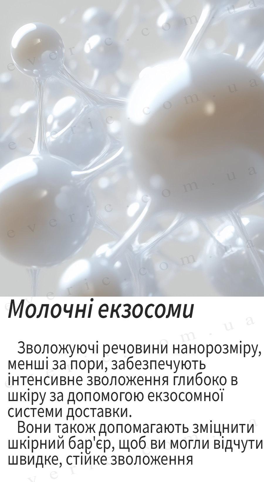 3 копия