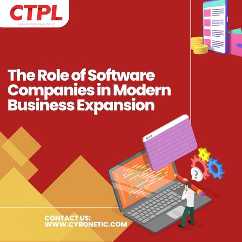 The Role of Software Companies in Modern Business Expansion.jpg