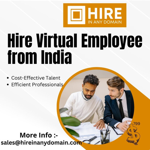 Hire Virtual Employee from India.jpg