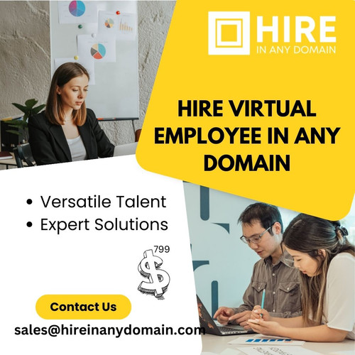 Hire Virtual Employee in Any Domain.jpg