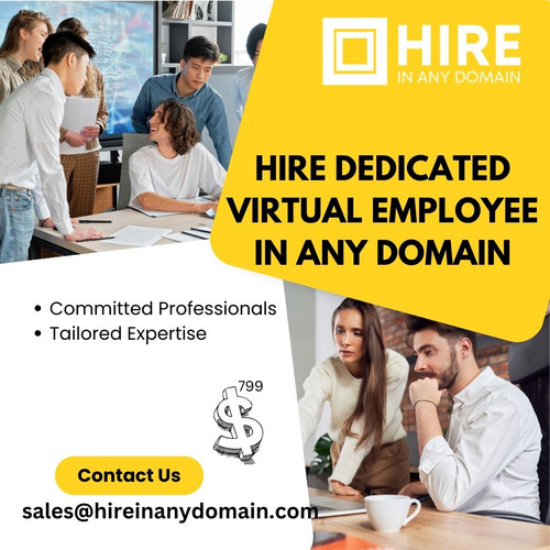 Hire Dedicated Virtual Employee in Any Domain.jpg