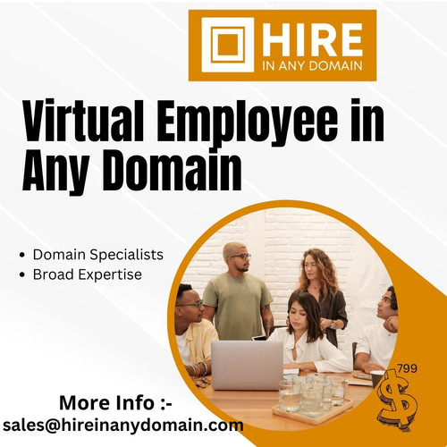 Virtual Employee in Any Domain.jpg