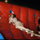 GIF 11 27 2024 4 37 27 PM.gif