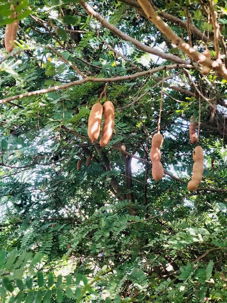 468570842 495863323470256 8176208886022311513 n.jpg