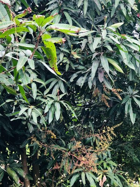 468546739 495863326803589 8156807044184401966 n.jpg