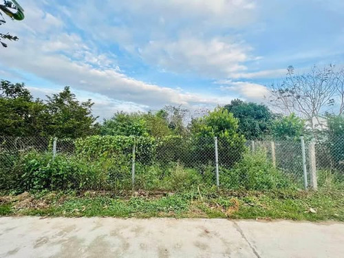 468546867 495863320136923 5752994037523216170 n.jpg