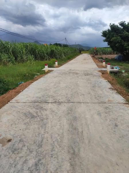 468715336 1098172561719453 6100473820404222211 n.jpg