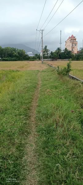 468668098 1096963835204545 3301352213257676136 n.jpg