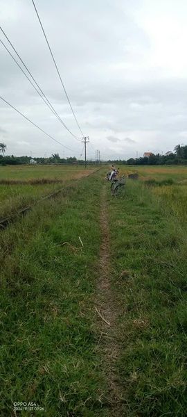 468523017 1096963735204555 1474220870480605255 n.jpg