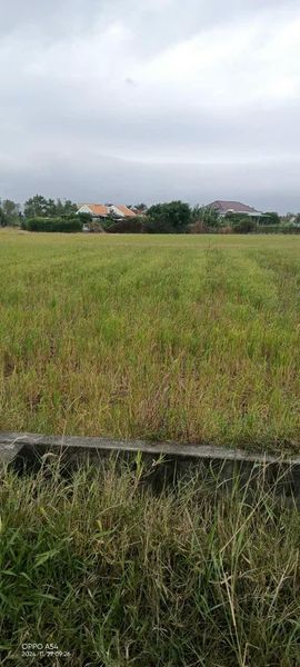 468554848 1096963778537884 8198100676163546372 n.jpg