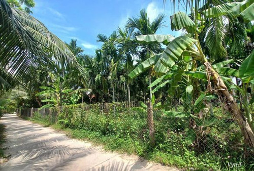 468828936 1097344665463025 7132461289075844841 n.jpg