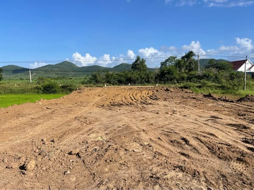 468462441 1305141847442602 5849320131857349095 n.jpg