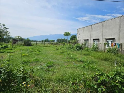 468672716 8748909568529766 7825970470116462959 n.jpg