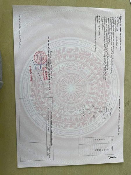 468732969 8748909821863074 2001876277377796729 n.jpg