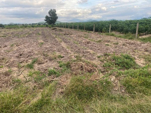 468505532 1078154067338039 5792095204651106336 n.jpg