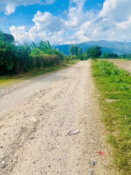 468430303 1078154034004709 2270920977052413591 n.jpg