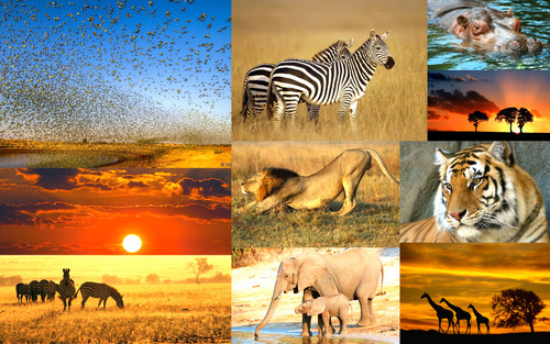 ' Glorified is The All Mighty Creator '.jpg