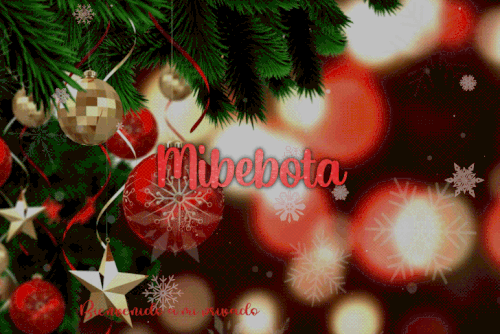 bebota3.gif