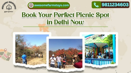 Book Your Perfect Winter Picnic Spots in Delhi Now!.jpg