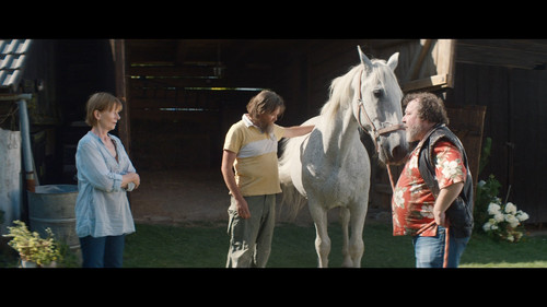 Buko.2022.1080p.NF.WEB DL.CZ.DD+5.1.x264 My.mkv snapshot 00.17.18 [2024.11.29 08.17.03].jpg