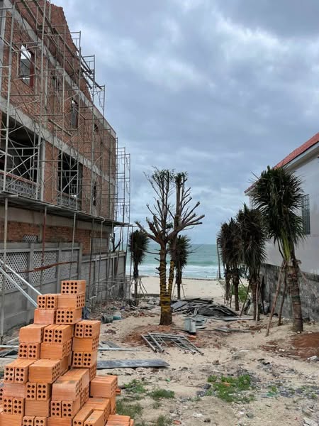 468573118 2979442132197025 2593607457596727509 n.jpg