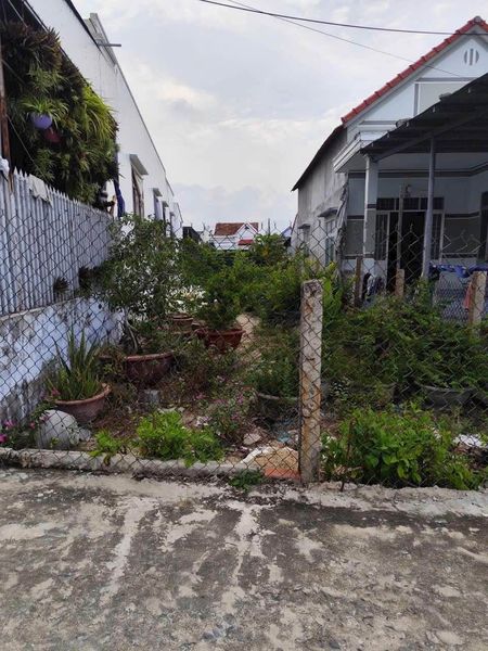 468578306 2979447582196480 6037842741319454317 n.jpg