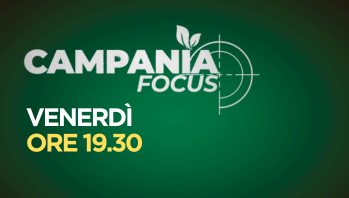 CAMPANIA FOCUS.png