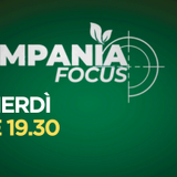 CAMPANIA FOCUS