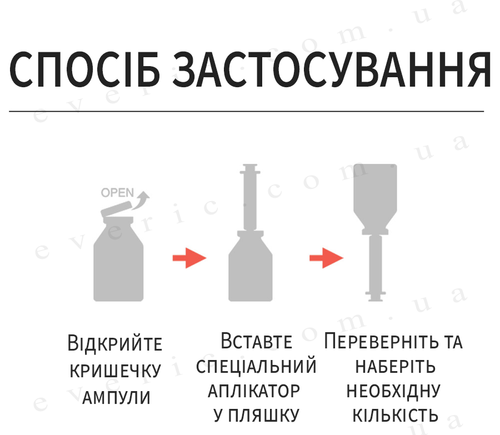 12 копия.png