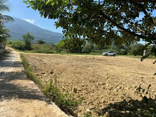 479520339 1366240134728720 885524333537504063 n.jpg