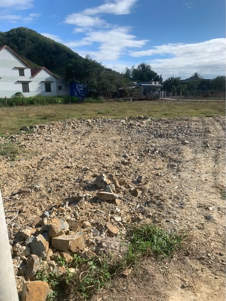 476929323 1366240178062049 5165116925476937242 n.jpg