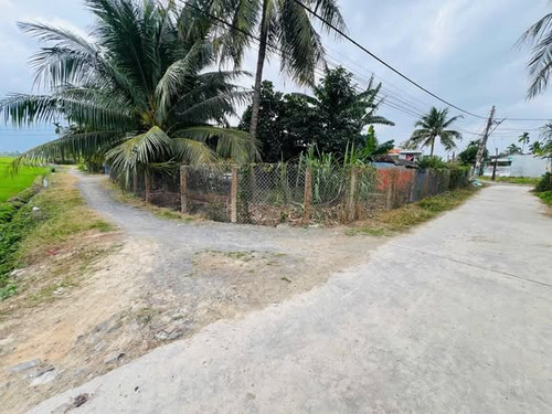 475706170 629534806119740 1570584286241558390 n.jpg