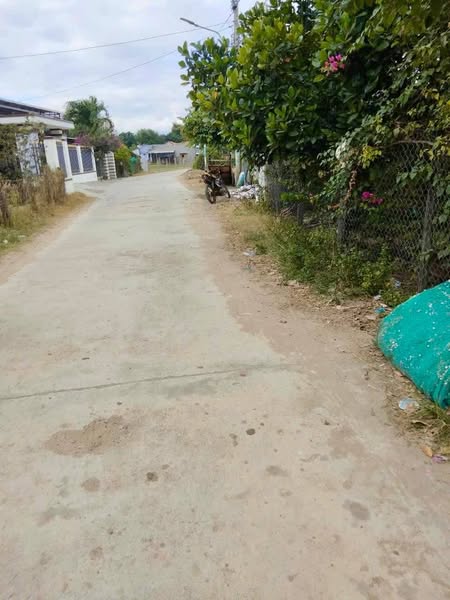 476975682 3832389973644370 6914196972363461822 n.jpg