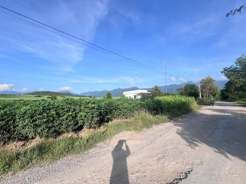 476639860 2208029092925172 712068119754082182 n.jpg