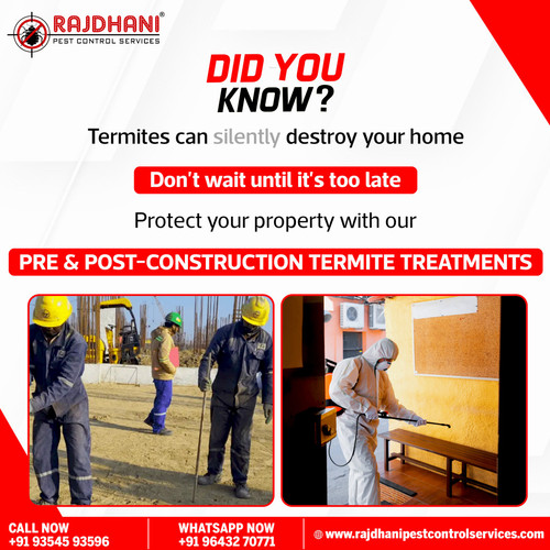 Mosquito and Flies Treatment at Best Price | Rajdhani Pest Control.jpg