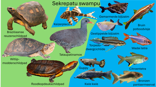 Sekrepatu swampu.png
