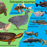 Sekrepatu swampu