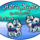 arctic nights vulpes