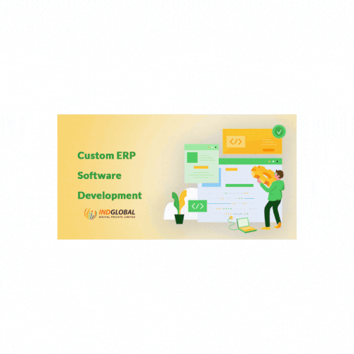 Custom ERP Software Devlopment.gif