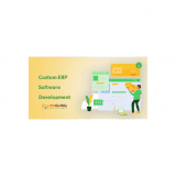Custom ERP Software Devlopment