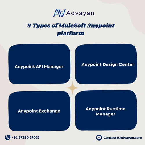 4 Types of MuleSoft Anypoint platform.jpg